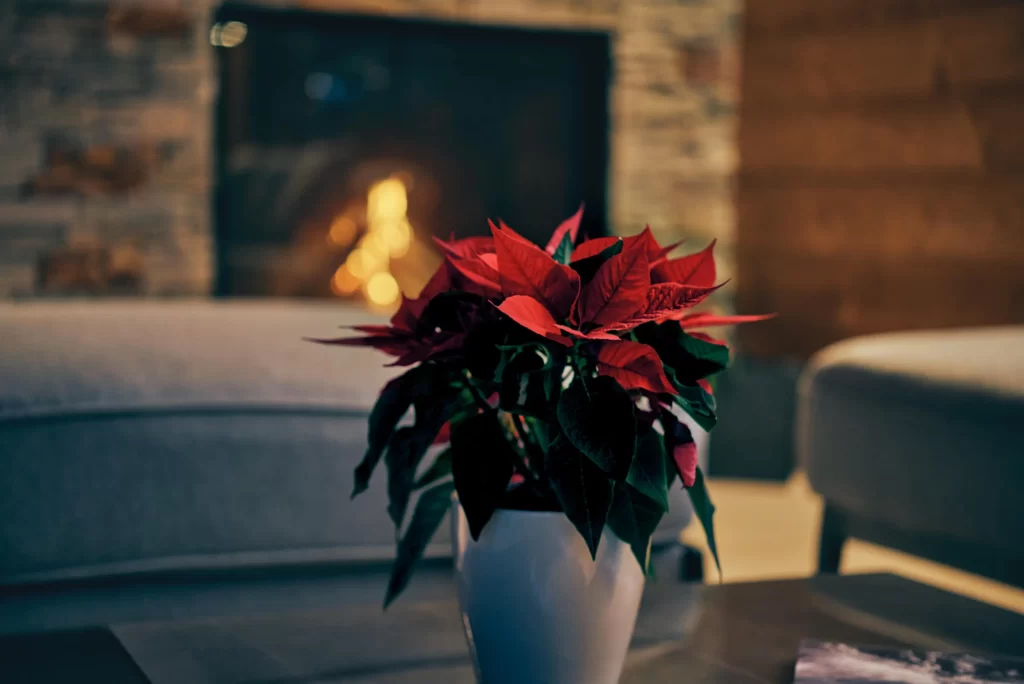 Chalet in Tyrol. Close-up